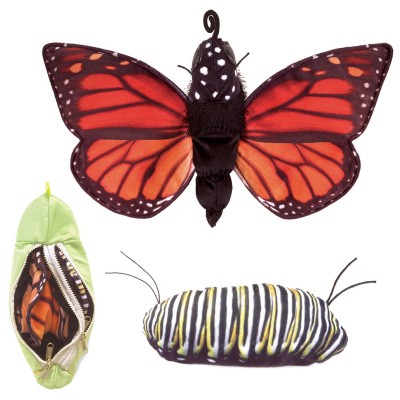 Metamorphose Schmetterling - Folkmanis