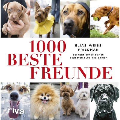 1000 beste Freunde (REST)