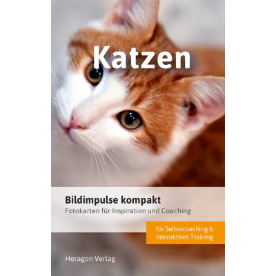 Bildimpulse kompakt: Katzen